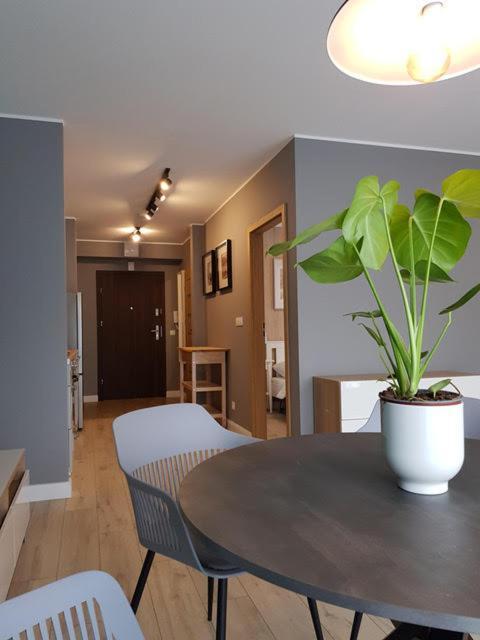 קרפאז' Apartament Triventi 88 Z Widokiem Na Sniezke - 5D Apartamenty מראה חיצוני תמונה